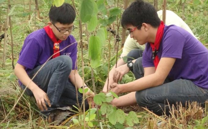 CKSC Scouts joins Tree Planting
