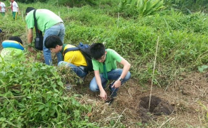 CKSC Scouts joins Tree Planting