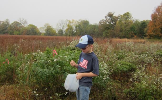 Gathering Native Wildflower Seeds with the DNR