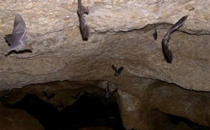 Conservemos la Cueva El Pico