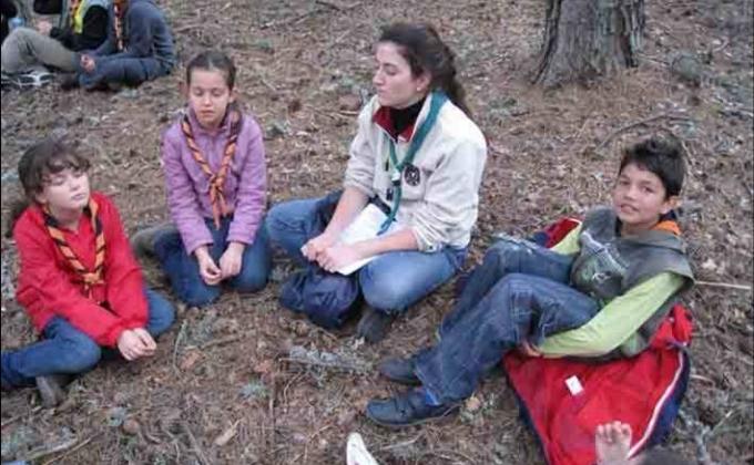 CHALLENGE 6: Forests Challenge Badge