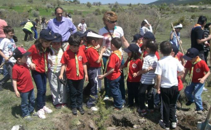 A NEW WOODS AREA WITH 2000 NEW PINE AND FIR TREES 
