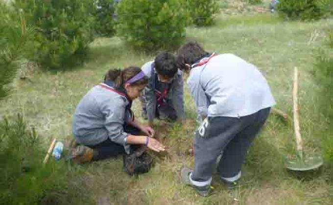 TREE PLANTING AT A MEMORIAL  FOREST AS PART OF AN INTRODUCTION COURSE 