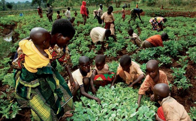 Food for Life – Kenya, Uganda, Burundi