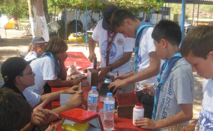 Building Nest for Birds