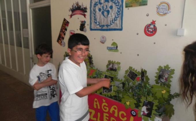 GLOBAL YOUTH SERVICE DAY  EXPERIENCES