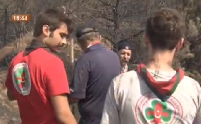FOREST FIRE. SCOUTS HELPING TO FIREMEN 
