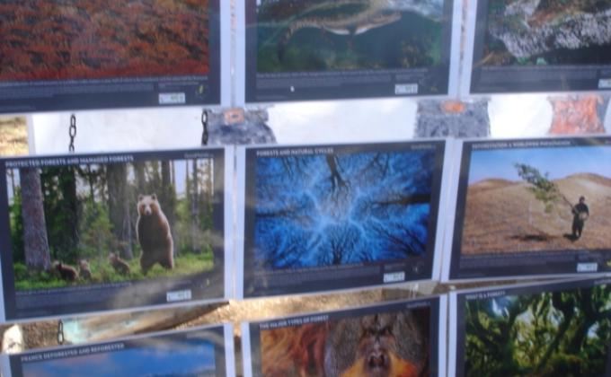 PROVİNCİAL SUMMER CAMP ANTALYA TURKEY JUNE 2011