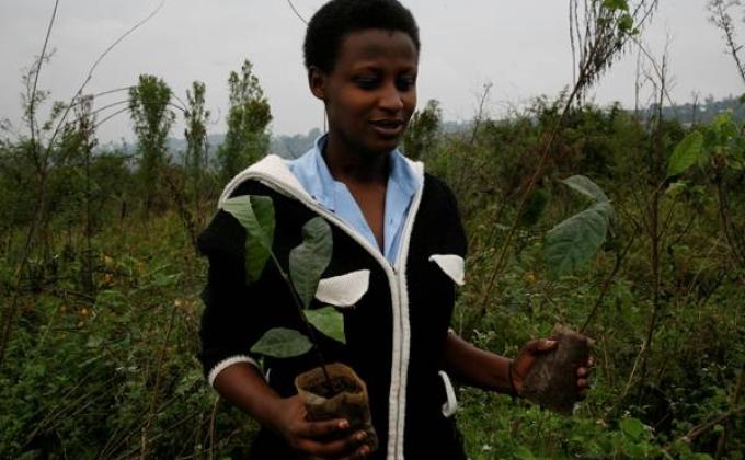 BUILDING PEACE OVER THE OCEANS. A SIMPLE MESSENGER OF PEACE ACTIVITY