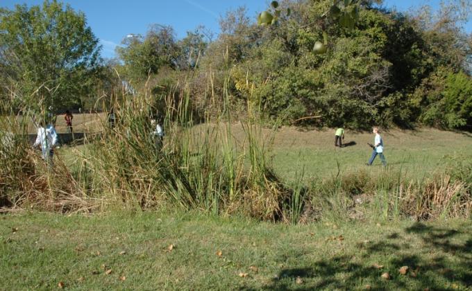 Restoring the neighborhood ecosystem