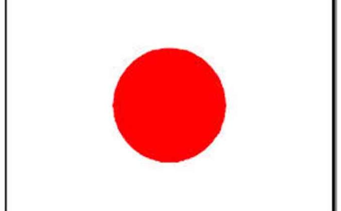 2010 JOTI EXPERİENVE OF BROWNİES AND CUBS TRUVA TROOP