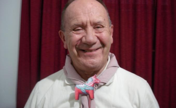 JOIN IN JAMBOREE ACTION 2011 SWEDISH  HORSE