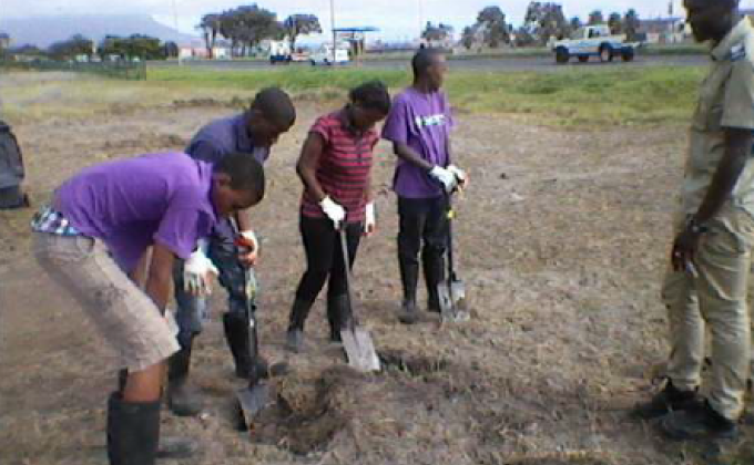 Removal of Bulrushes 