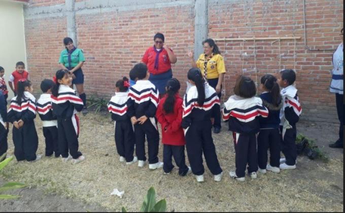 Muros verdes en la escuela