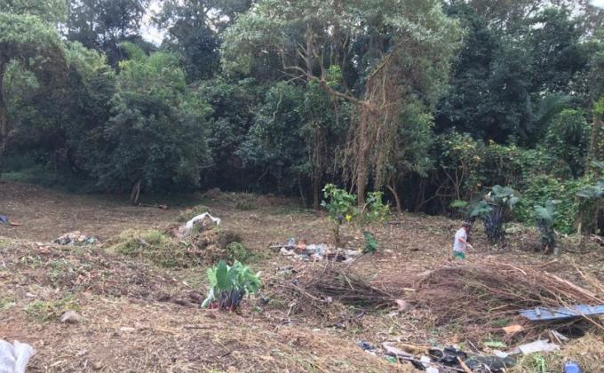 Projeto de recuperacão de área de preservação permanente degradada