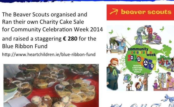 Beaver Scout Charity Cake Sale
