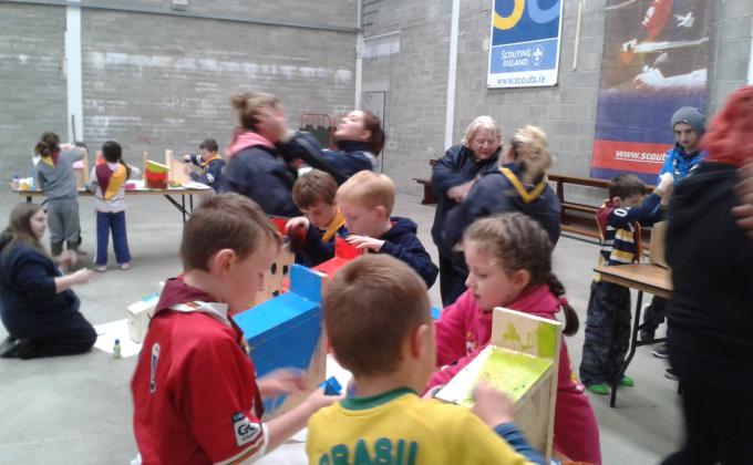 11th Cavan Killeshandra Scouts, making and hanging bird boxes in their community