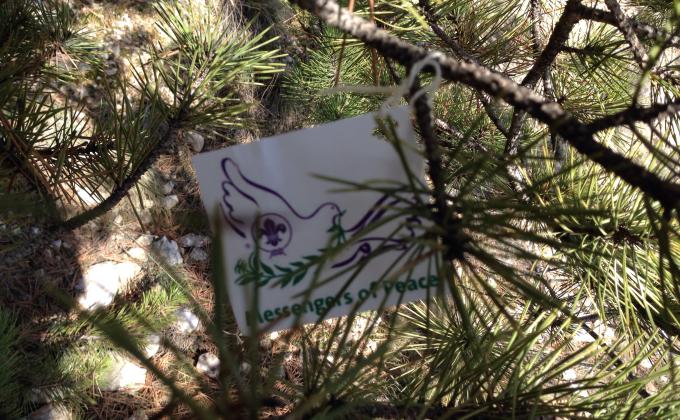 Scout Trail