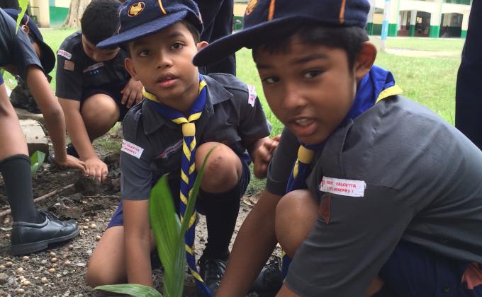 A TREE PLANTATION PROGRAM