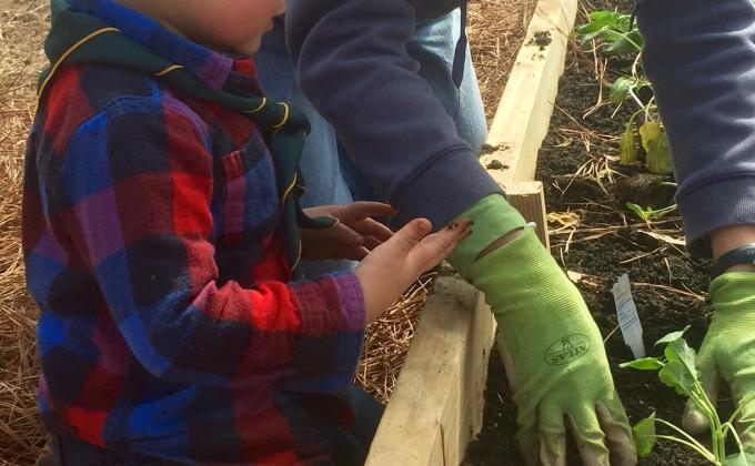 Plant Bed for Sustainability Education