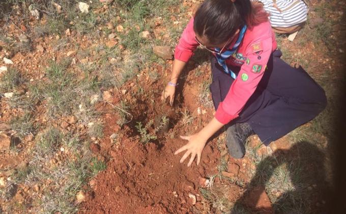 Campaña de Reforetacion parque Ciencia y Tecnlogia 