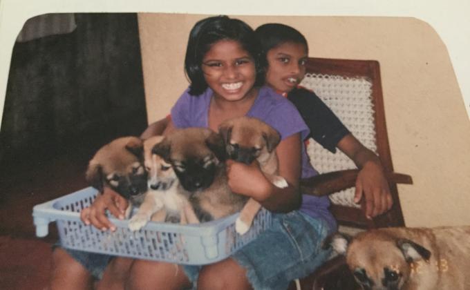 caring a stray dog