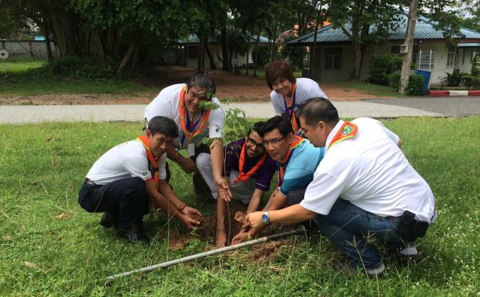 World Peace day tree planting 