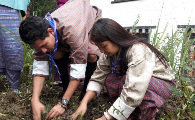 Tree plantation for peace