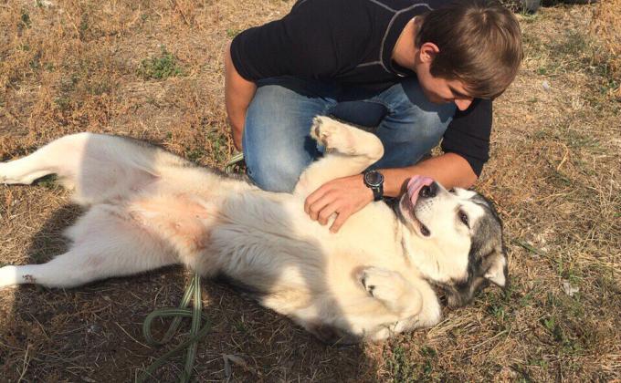 World Animal Day
