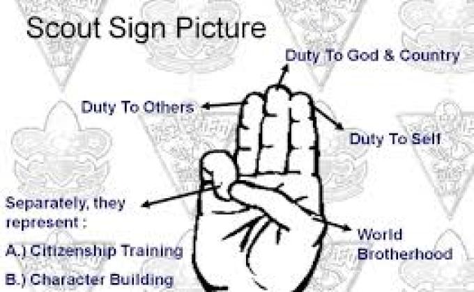 scouting for peace
