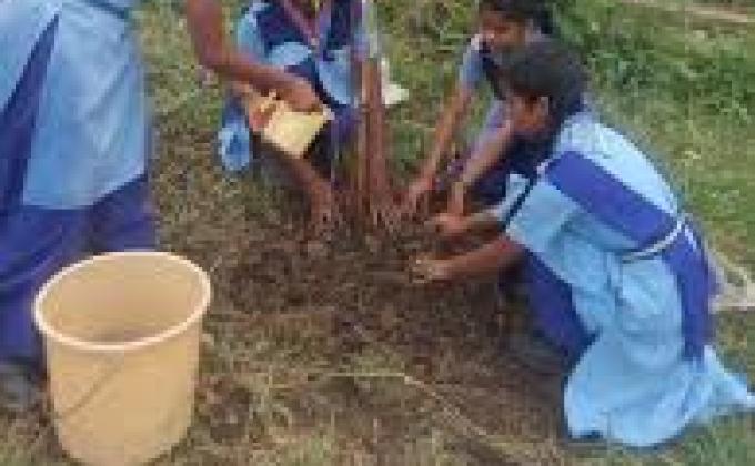Road Repairing and Mud Cutting