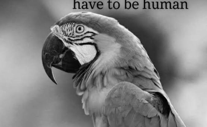 6.Friend to Birds (Sankalp Activitie) 