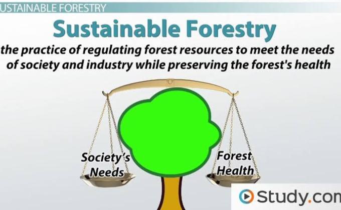 #ENVIRONMENT AND SUSTAINABILITY 