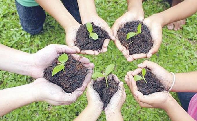 Inicio de la campaña Nacional Mi arbol en Cochabamba- Arboles para el mundo