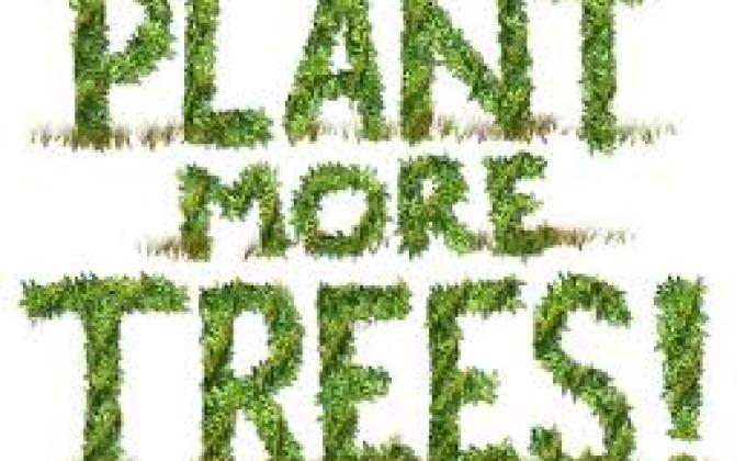 A MILLION TREE PROJECT