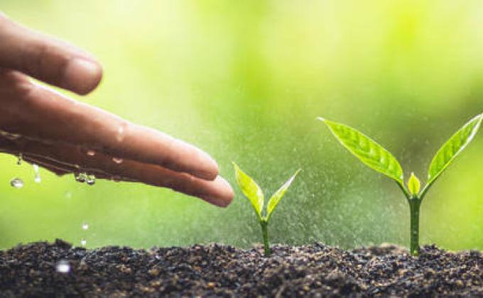 Social Forestry Day