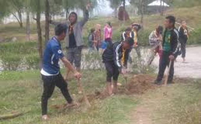 maintaining of tree saplings on 2 june
