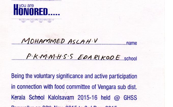 Service as Volunteer in School Arts Festival - 2015