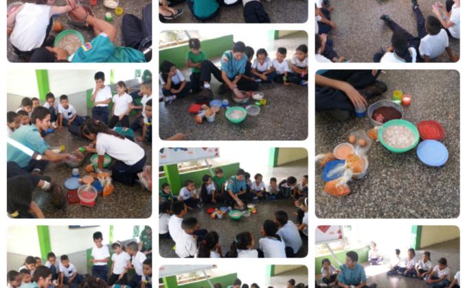 Alimentando a nuestros amigos de 4 patas 