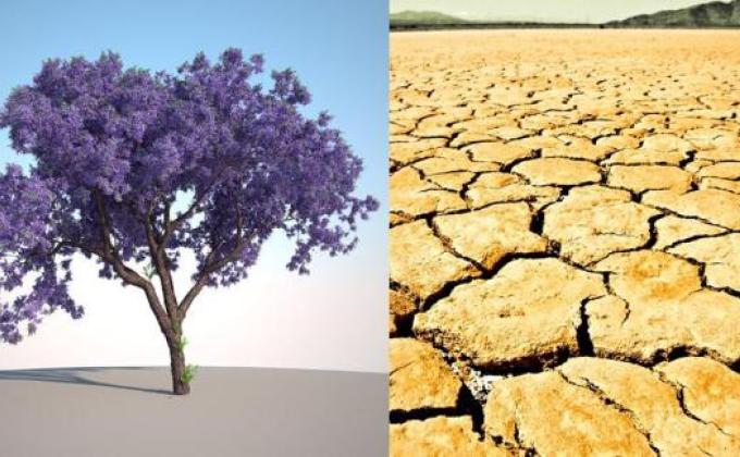 Aprendo a cuidar el planeta