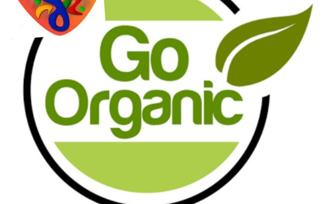 (B)Environment & Sustaibility. Challenge 4-#Goorganic.