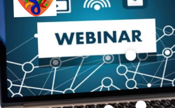 D] Digital Scouting Guiding. Challenge 4- #Webinars.
