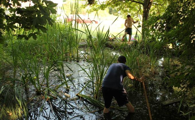 Lake cleaning
