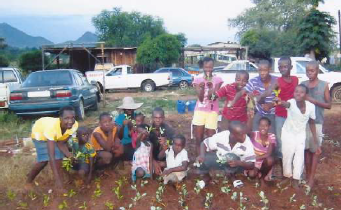 Food gardens for Burges Dorp