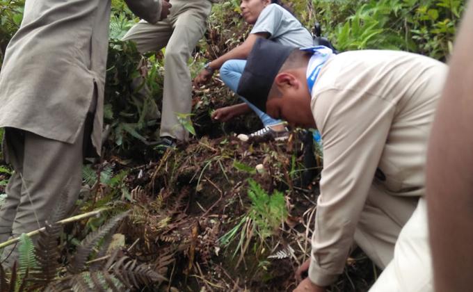 Afforestation Programme On The Occasion Of Golden Jubilee Celebration Of Lalitpur DHQ.