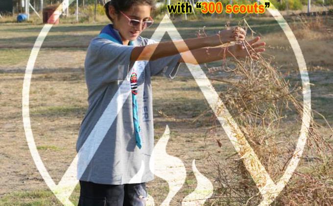 24.380 Educational Service Hours at Camps