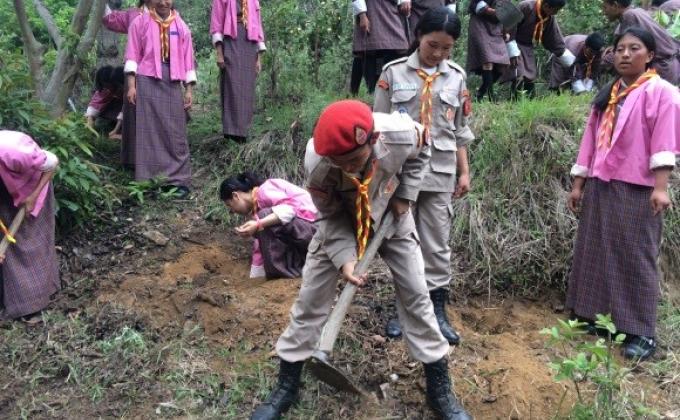 Plantation to mark Social Forestry Day