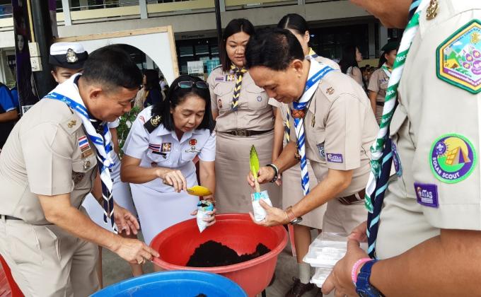  ปลูกดาวเรืองจากถุงนม