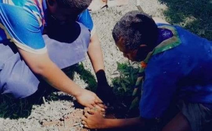 SUPPORTING PROJECT GREEN