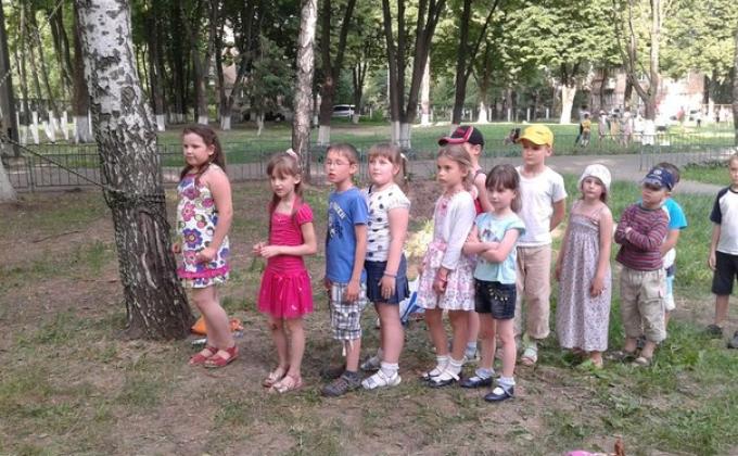 Scouting presentation for school children